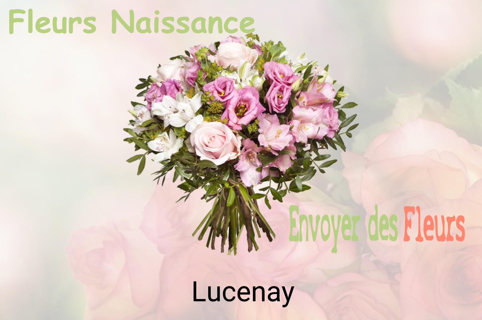 Bouquet de fleurs de naissance livré à Lucenay