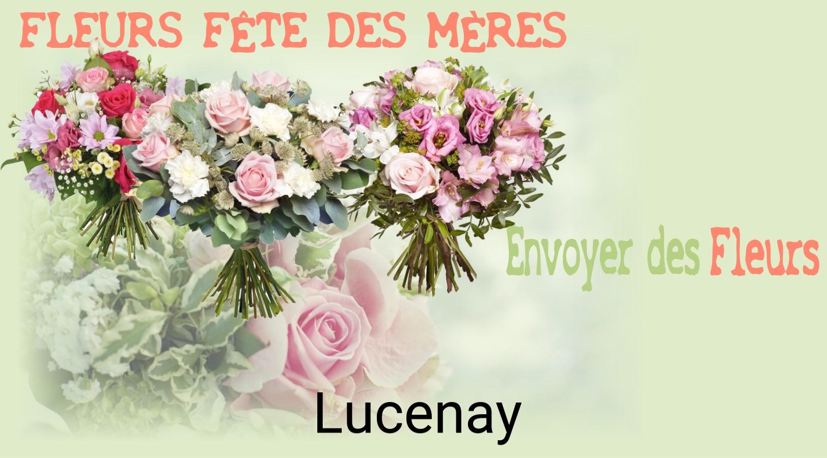 Bouquet de Fête des Mères livré à Lucenay